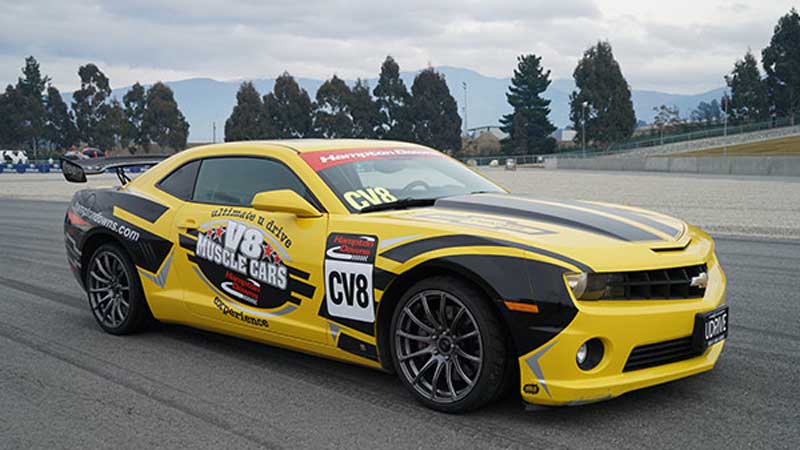 Come on down to Hampton Downs Motorsports Park for an unforgettable V8 Muscle Car Experience!
